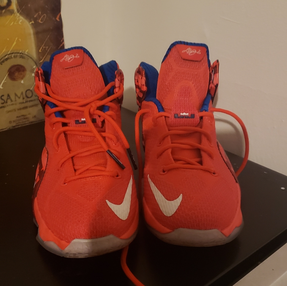 Lebron James 12